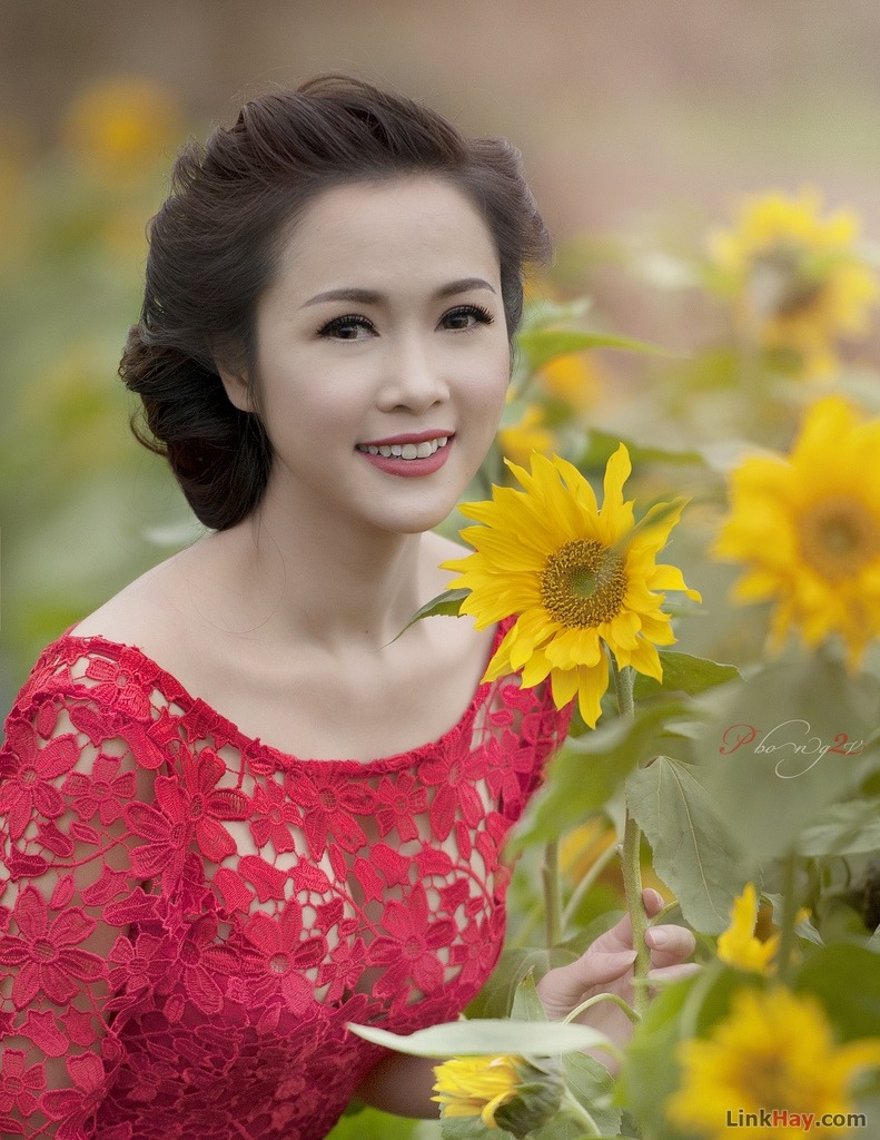 耽美是什么意思